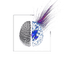 |BRAIN|